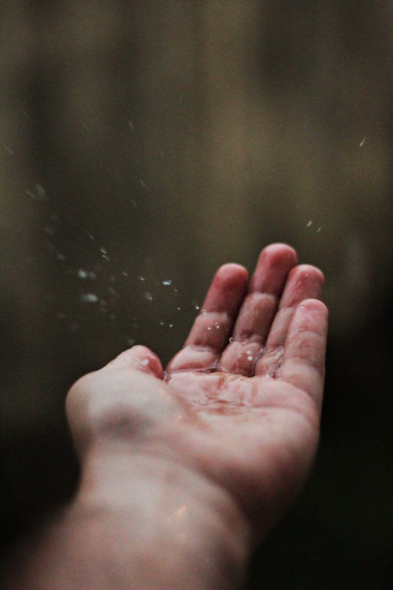 MimperSpain's tweet photo. Resistente, flexible y efectiva. No hay un sistema impermeable más sofisticado y efectivo que la piel. Humana o animal, cada ser tiene en la piel un sistema impermeabilizante especialmente diseñado para las necesidades y condiciones de su entorno. Una reverencia a la naturaleza. https://t.co/CPoISBL4Yn