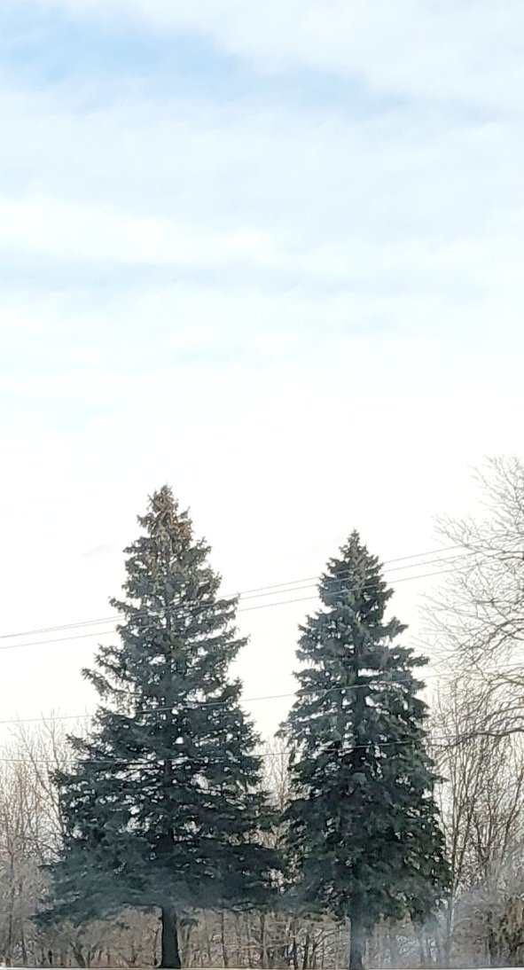 HEIS_Tswvlis's tweet photo. Two types of #trees in the #Garden of #Earth.
One #changes in #seasons & #time because of its #broadness & #excess(+). It has to #die(-) & #reborn(+) yearly.
The other does not because of its #narrowness & #refinement(-). It is #eternal(+) & remains mostly unchanged(-). https://t.co/HHy5gVNGx6