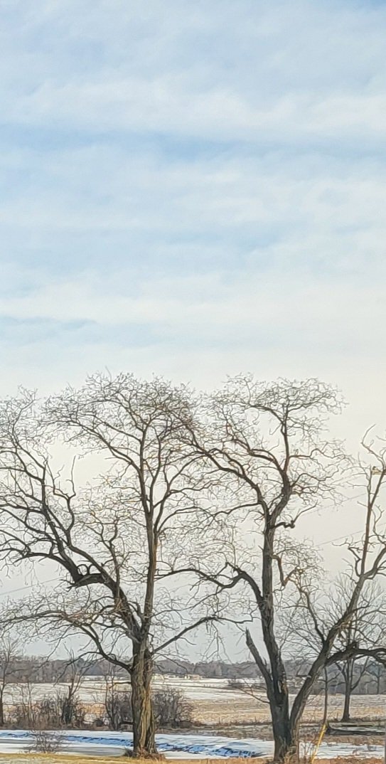 HEIS_Tswvlis's tweet photo. Two types of #trees in the #Garden of #Earth.
One #changes in #seasons & #time because of its #broadness & #excess(+). It has to #die(-) & #reborn(+) yearly.
The other does not because of its #narrowness & #refinement(-). It is #eternal(+) & remains mostly unchanged(-). https://t.co/HHy5gVNGx6