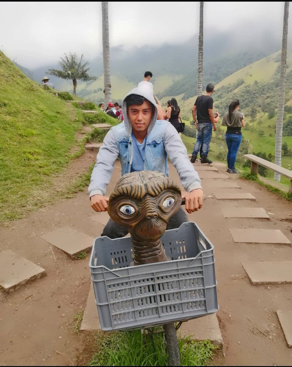 David Torres tweet media