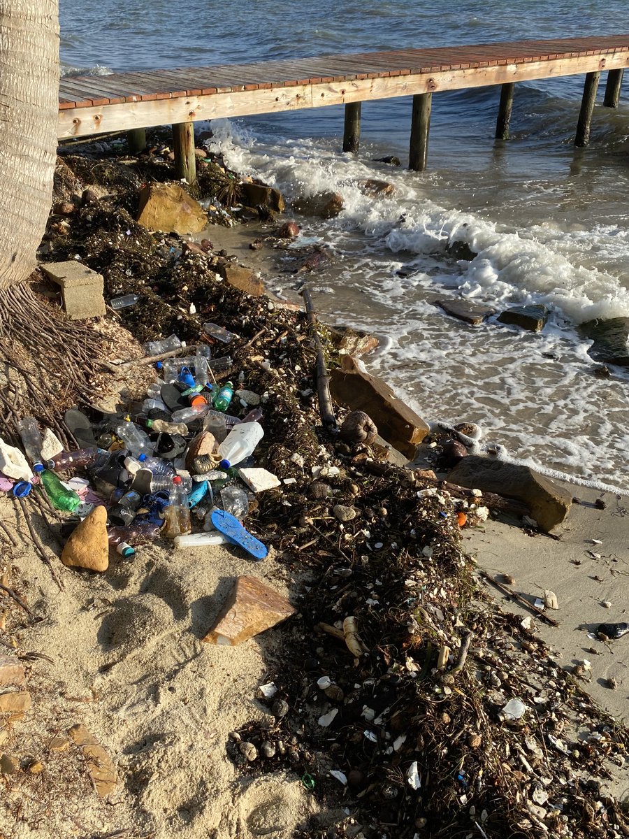 A few metres of shoreline flotsam and jetsam after a mild overnight storm. Anyone still think #marineplastics aren’t a problem? #oceans #pollution #Belize #Caribbean #plastic