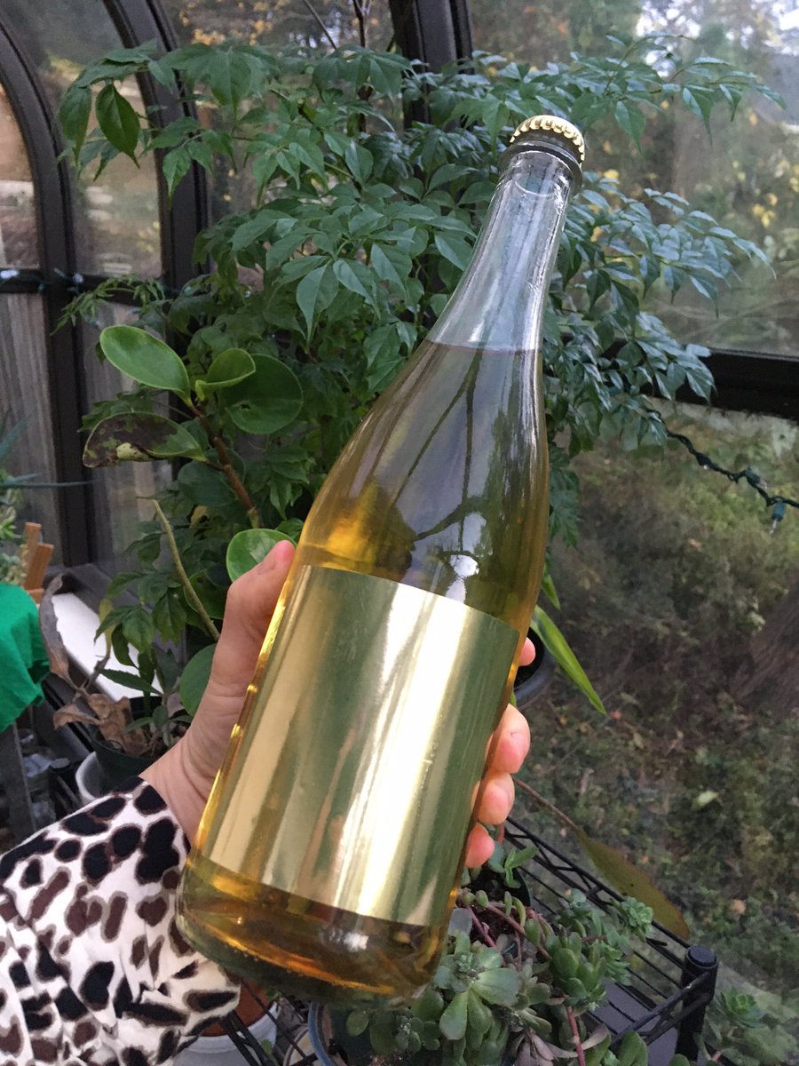 Are you ready to see my favorite 5 ciders of 2021? alongcameacider.blogspot.com/2021/12/my-fav…