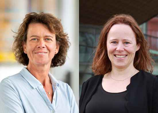 LUMC Leiden (@lumc_leiden) on Twitter photo DARE-NL is het nieuwe nationale platform voor ontwikkeling van cel- en gentherapie, gefinancierd door <a href="/kwf_nl/">KWFKankerbestrijding</a>. Ook het LUMC neemt eraan deel. Patiënten profiteren van deze bijzondere, landelijke samenwerking ➡ bit.ly/3sIsNhw #kankeronderzoek #darenl DARE-NL is het nieuwe nationale platform voor ontwikkeling van cel- en gentherapie, gefinancierd door <a href="/kwf_nl/">KWFKankerbestrijding</a>. Ook het LUMC neemt eraan deel. Patiënten profiteren van deze bijzondere, landelijke samenwerking ➡ bit.ly/3sIsNhw #kankeronderzoek #darenl
