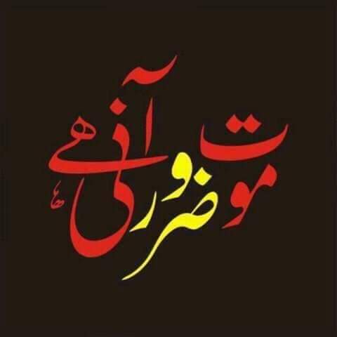 1arhama28's tweet photo. موت اک امر مسلم ہے تو پھر اے ساقی!
روح کیوں زیست کے آلام سے گھبراتی ہے؟

سو بھی جا اے دل مجروح بہت رات گئی!
اب تو رہ رہ کے ستاروں کو بھی نیند آتی ہے!

اور تو دل کو نہیں ہے کوئی تکلیف عدمؔ!
ہاں ذرا نبض کسی وقت ٹهہر جاتی ہے!!!
عبدالحمید عدم
#نمود_عشق #فروغ_اردو #ادب_کا_سفر https://t.co/efTQ7tmRTW