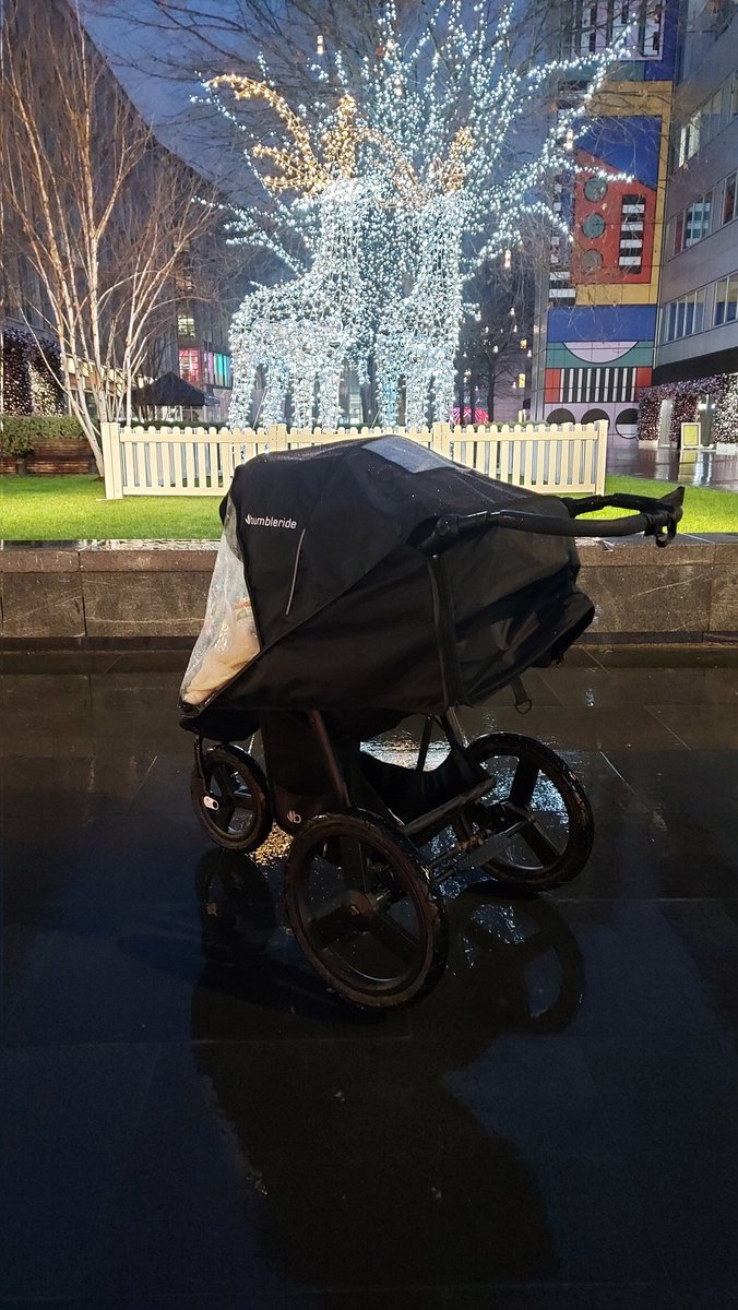 rsangsterkelly's tweet photo. I'm enjoying the scenery of these morning Christmas week runs...though Cillian gets to enjoy them bundled up and dry - - it was a wet one 😝 #morningrun #runningbuggy https://t.co/reBDUJsB9e