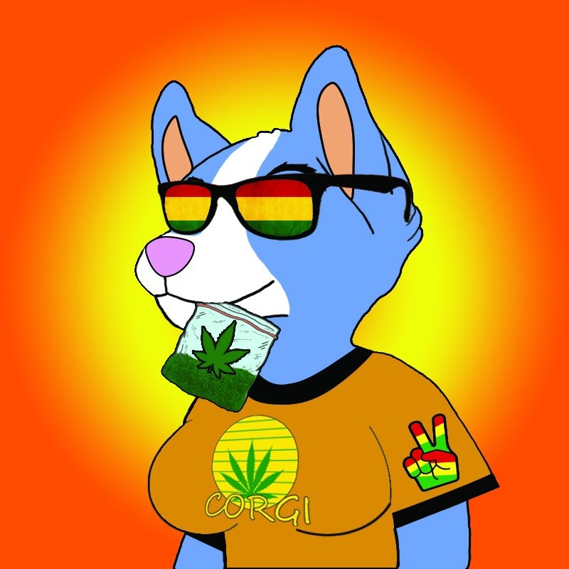 sanakaAI's tweet photo. Who will catch the unique corgi?🌿
She is the rarest of the corgi club, and you can buy her on OpenSea for $ 19!!!!!! 

👉 https://t.co/q47CMRjRpn

#Nft #Netcommunity #NFTfam #nftdrop #nftart #NFT https://t.co/gXp5Z883nz