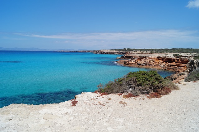 Hiperbolic's tweet photo. Formentera enamora! Aquí teniu una petita ressenya d'aquest paradís mediambiental i paisatgístic i les activitats d'educació ambiental que ofereix l'IBANAT 🐬🐙🐟🦎🌾🍂🍃👉🏼 https://t.co/3Ox9ejkz4l 🍃🍂🌾🦎🐟🐙🐬 https://t.co/VpWagxugB4