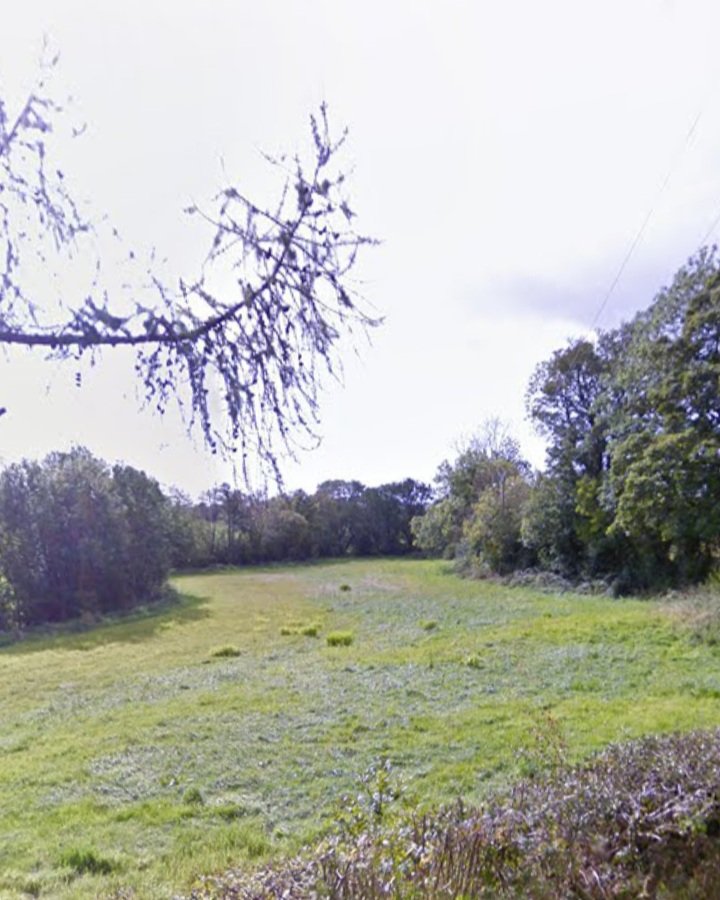 Now that Christmas is over, we turn our attention back to the sheep.
Lamb Cam is back up and running.

We moved the Kerry Hill's and last year's Dorset Ewe lambs to new grazing.

And we also got an early Christmas present by acquiring some new land to graze too 👌🏻

🐑🐑