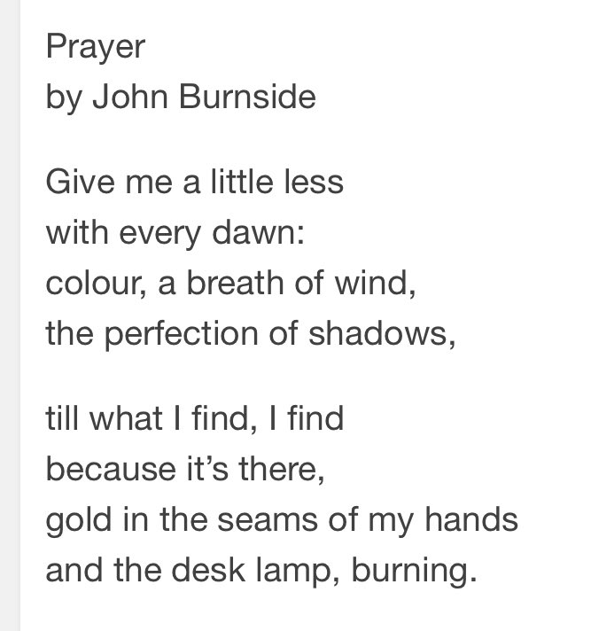 theaimeeh's tweet photo. @duanalla Two by John Burnside: Prayer, and Pentecost. https://t.co/p5P5BSifz2 https://t.co/l1eFkkcJpo