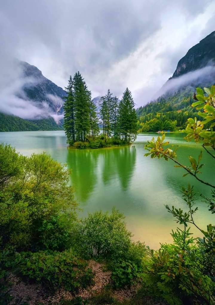 Jasper National Park 💚💚🤍🤍