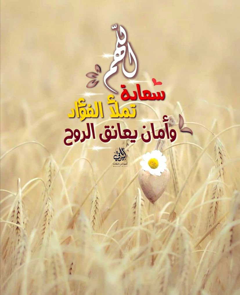 جمع الله بينكم وبين كل دعواتكم
 عسى الله أن يأتيكم بها جميعها 💕