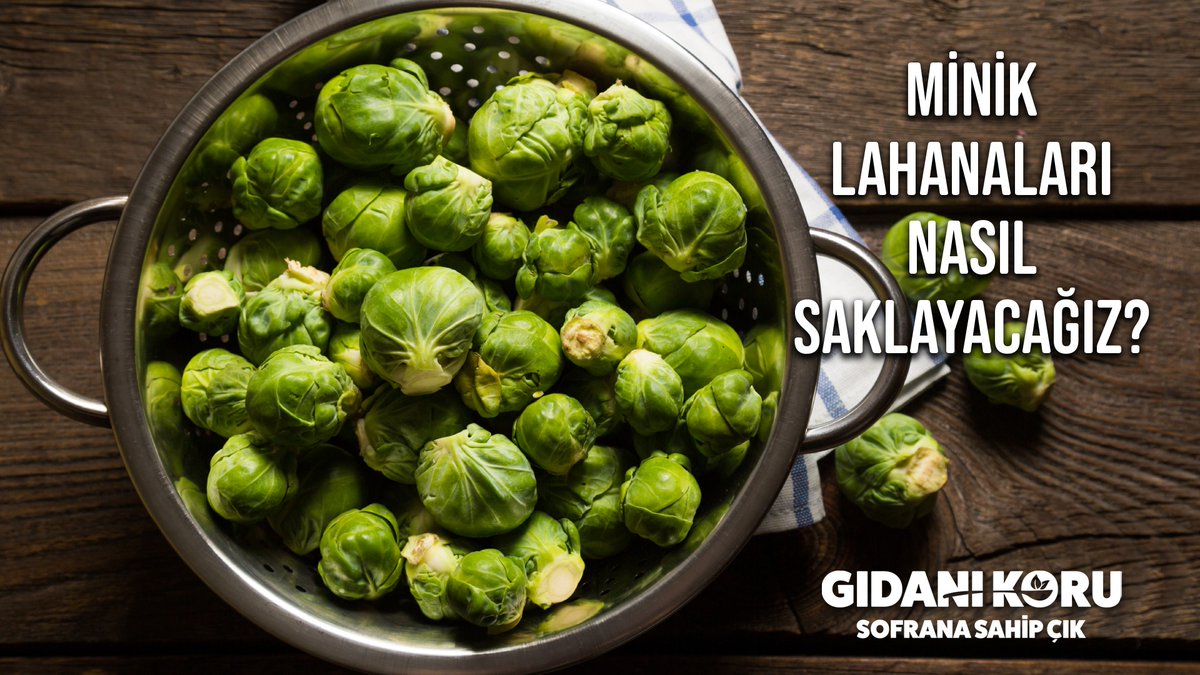 Küçük görüntüsüyle çocukların da dikkatini fazla çeken brüksel lahanasını nasıl saklayacağını biliyor musun? Sirkeli suda yıkadığın lahanaları iyice kuruttuktan sonra, bir saklama kabında buzdolabında saklamalısın.

#GıdanıKoruSofranaSahipÇık