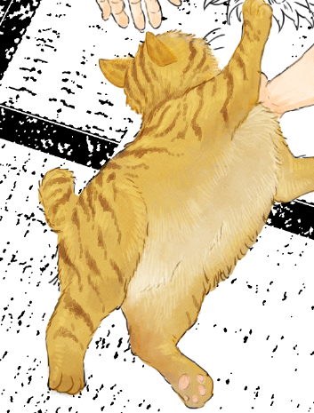 とらねこ 
