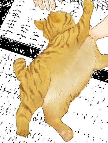 とらねこ 