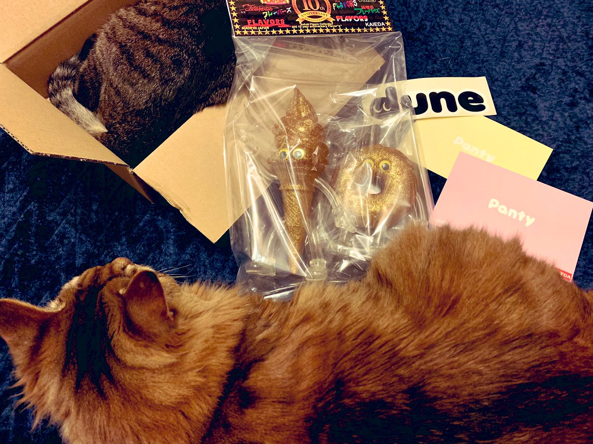 ko_kochibi's tweet photo. 私も来ました😭✨
初当選です...‼︎猫たちはダンボールの方が良いみたい🤣写真撮ってたら集まってきたよ💦

duneのシールも初めて😚可愛い💕
ヘッダーがめちゃくちゃ豪華

ゆっくり開封するぞ〜

#KAEDA
#FLAVORS
#フレーバーズ https://t.co/kEMplpBypy