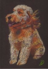 eclecticPRD's tweet photo. Good morning all.  A recent pencil sketch and pastel drawing I did of someone’s dog. https://t.co/9G8n7gjXGu