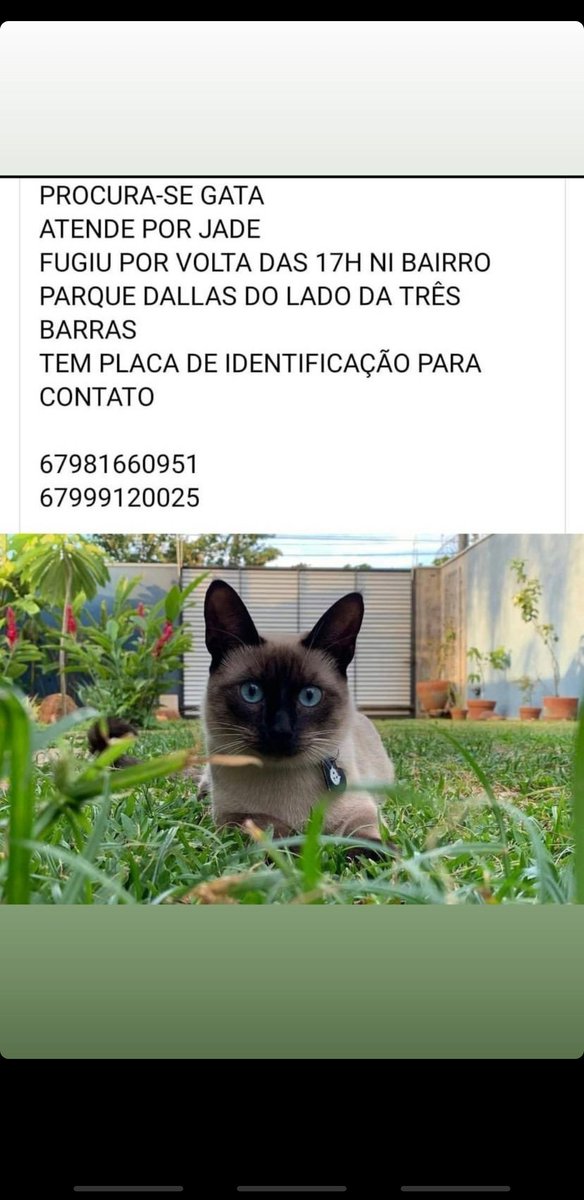 annabissacot's tweet photo. gente por favor me ajudem 😭😭😭😭😭😭😭😭 https://t.co/tzCtaDjY8t