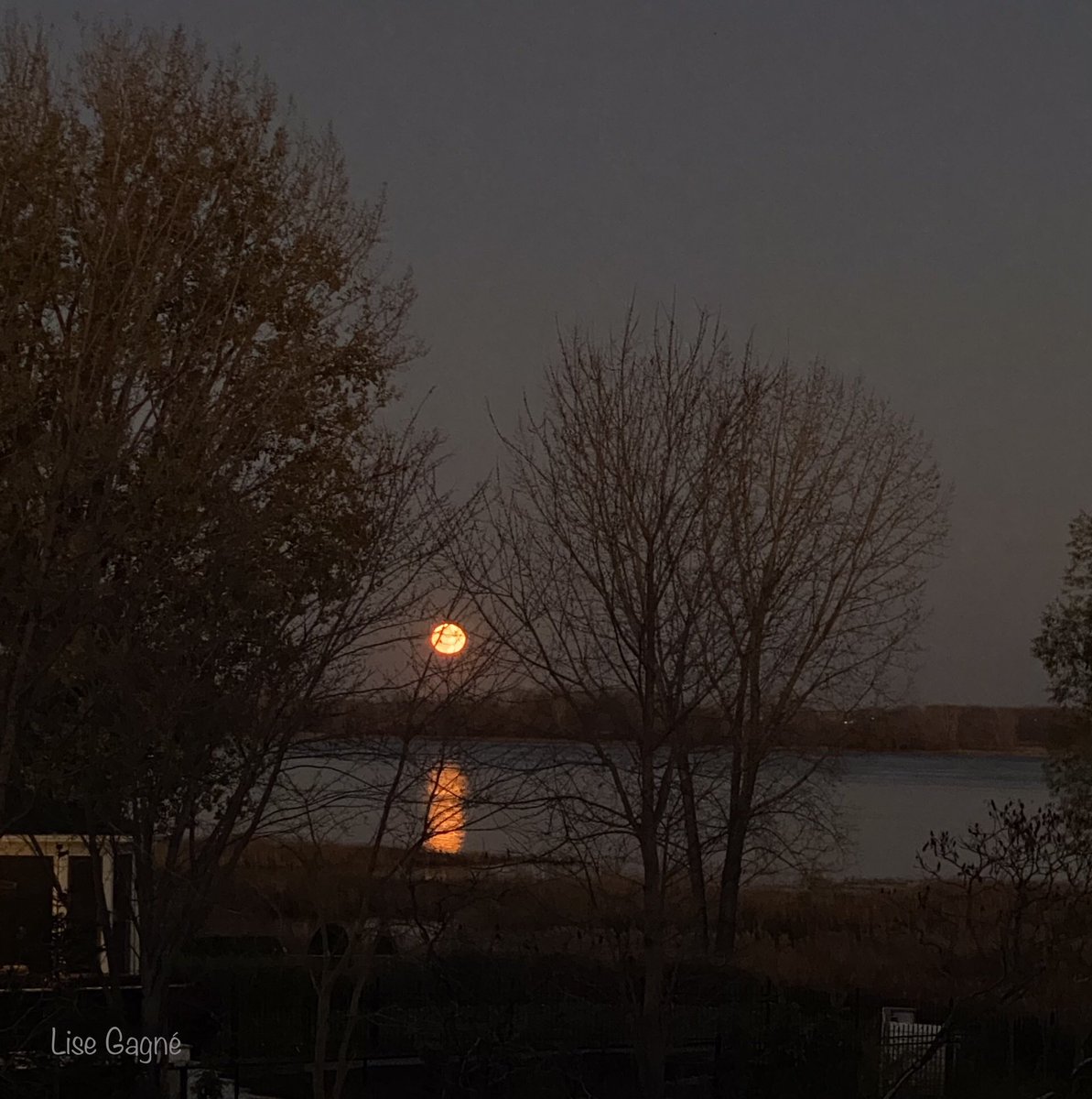 GagnLise2's tweet photo. Encore un souvenir d’octobre 2020. 
#lune #leverdelune #Repentigny https://t.co/7Vod3vI3oz