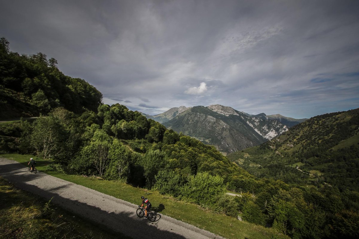 The Ride tweet media