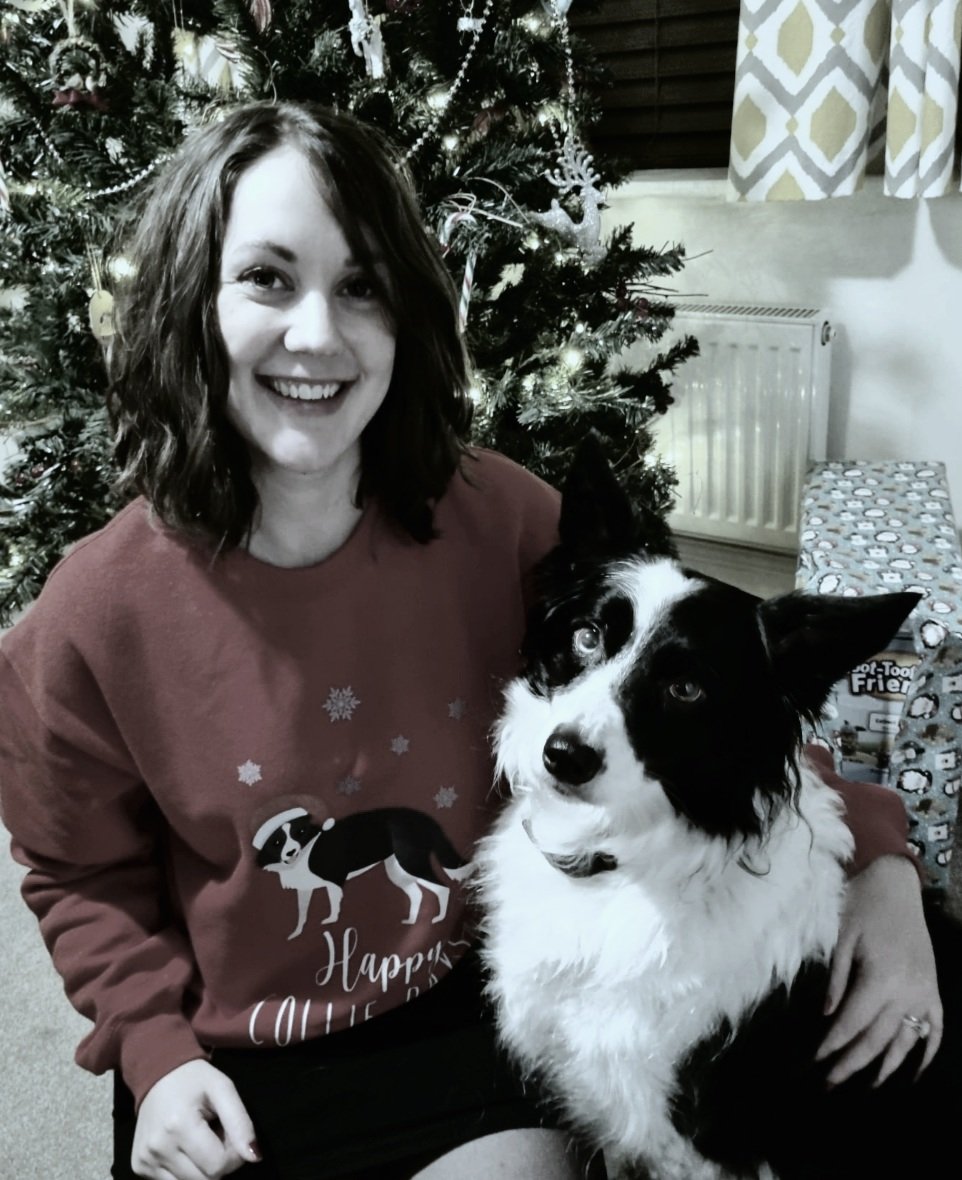 bella_collie's tweet photo. Christmas cuddles with my mum 💕  #dogsoftwitter #dogs #bordercollie https://t.co/gveIFIzVxF