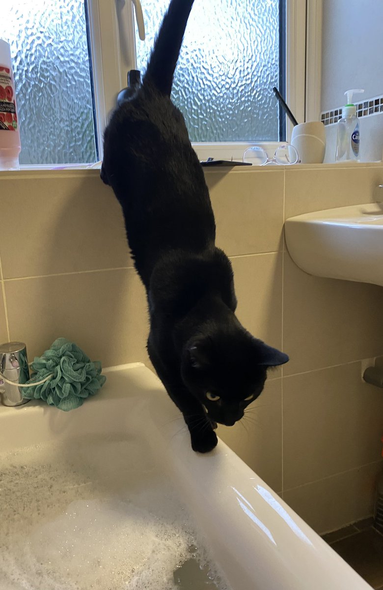 100億円トレーダー@バンコク在住🇹🇭 tweet media