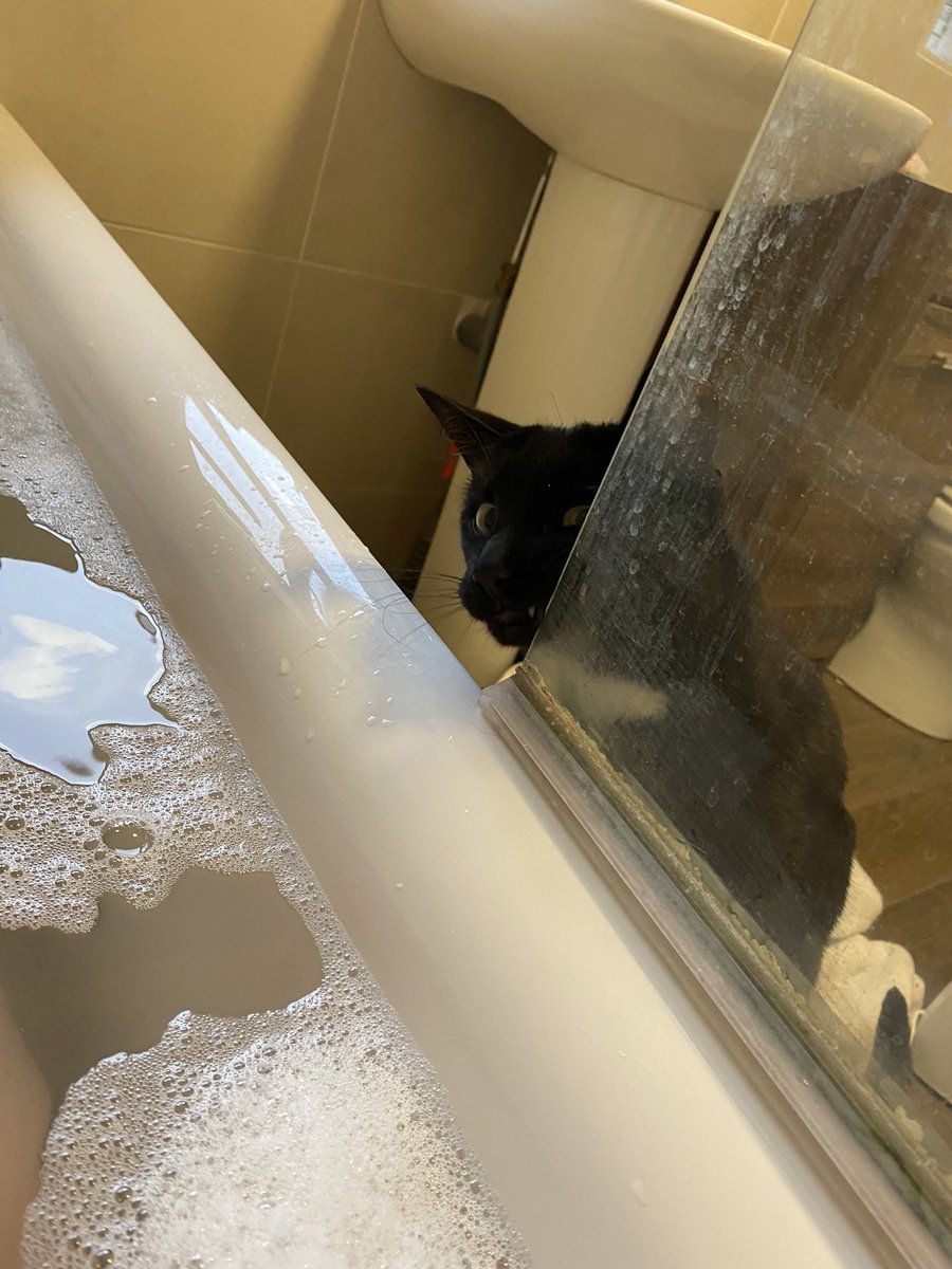 100億円トレーダー@バンコク在住🇹🇭 tweet media