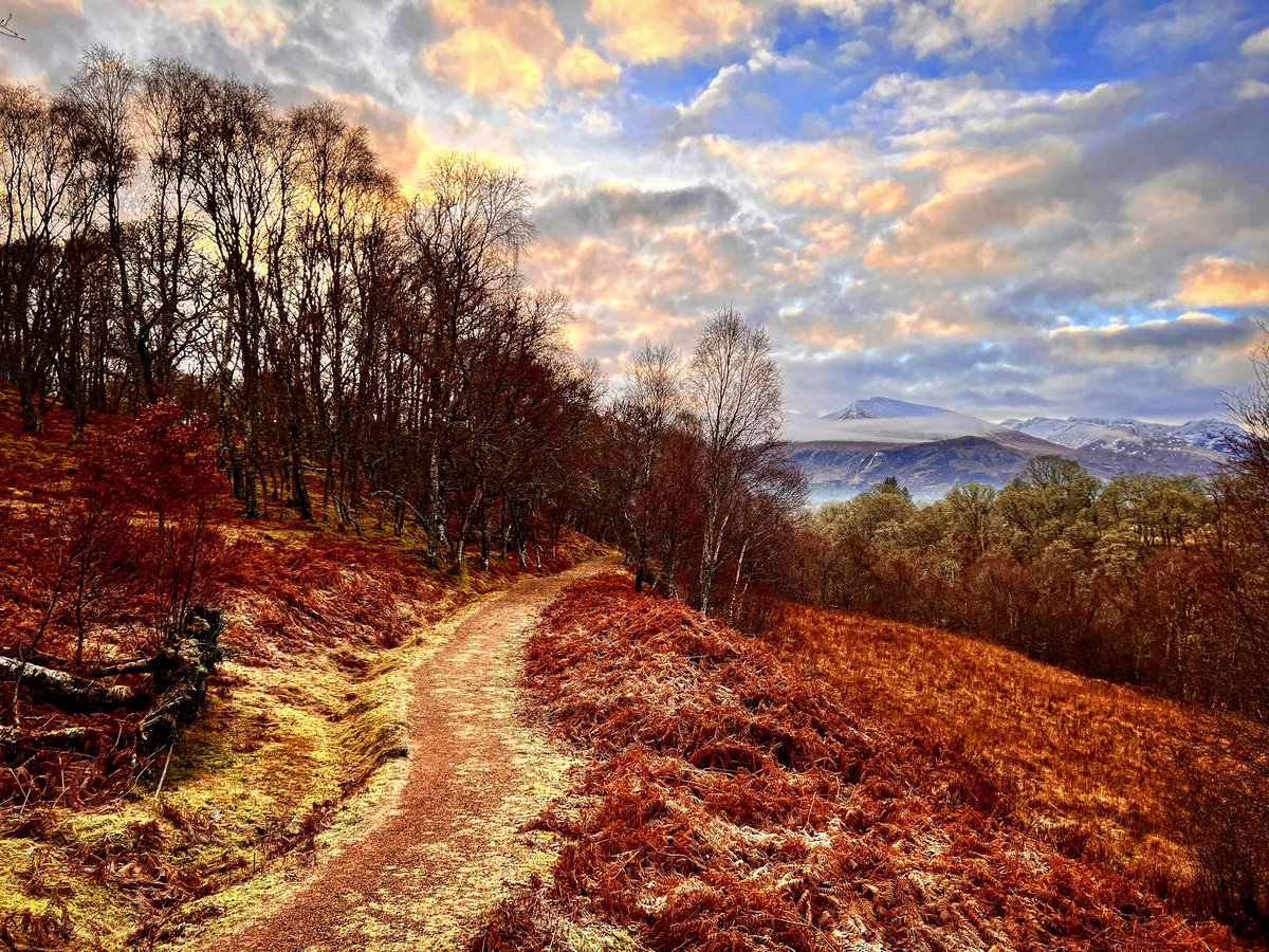 High Bridge Path tweet media
