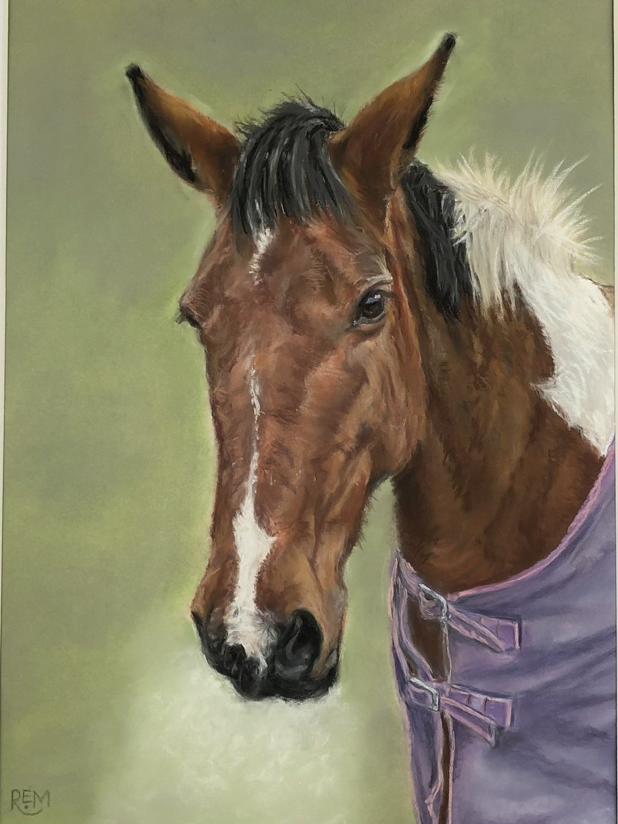 Rosieartwork's tweet photo. Chrimbo gift commission I can now share - a hoss for a nice change #giddeyup 😃🐎 #horse #animalportrait #pastel #equestrianart @UnisonColour on #pastelmat @ClairefontUK #countrylife #originalart https://t.co/8VlLIkSEml