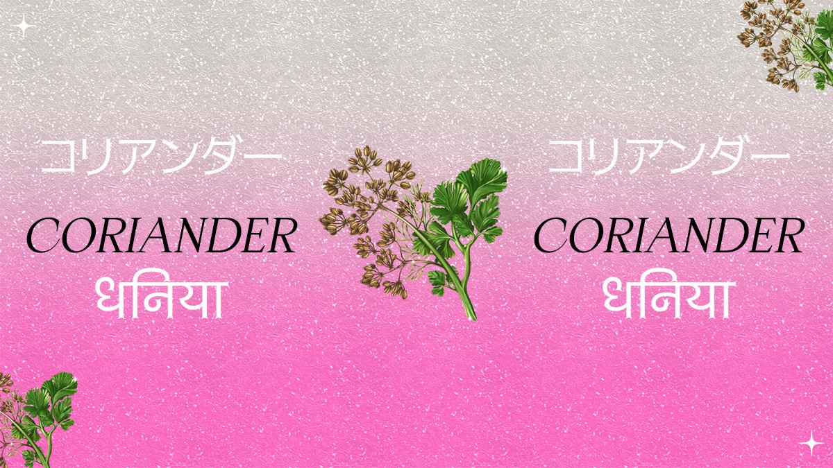 DojaDrinks's tweet photo. 七番 Botanical नंबर सात , Coriander 

Coriander plays a central role in the gin world and is the second most used botanical after juniper. It is actually quite rare to find a gin that doesn’t have coriander seed. https://t.co/9jZ5ztHuEJ