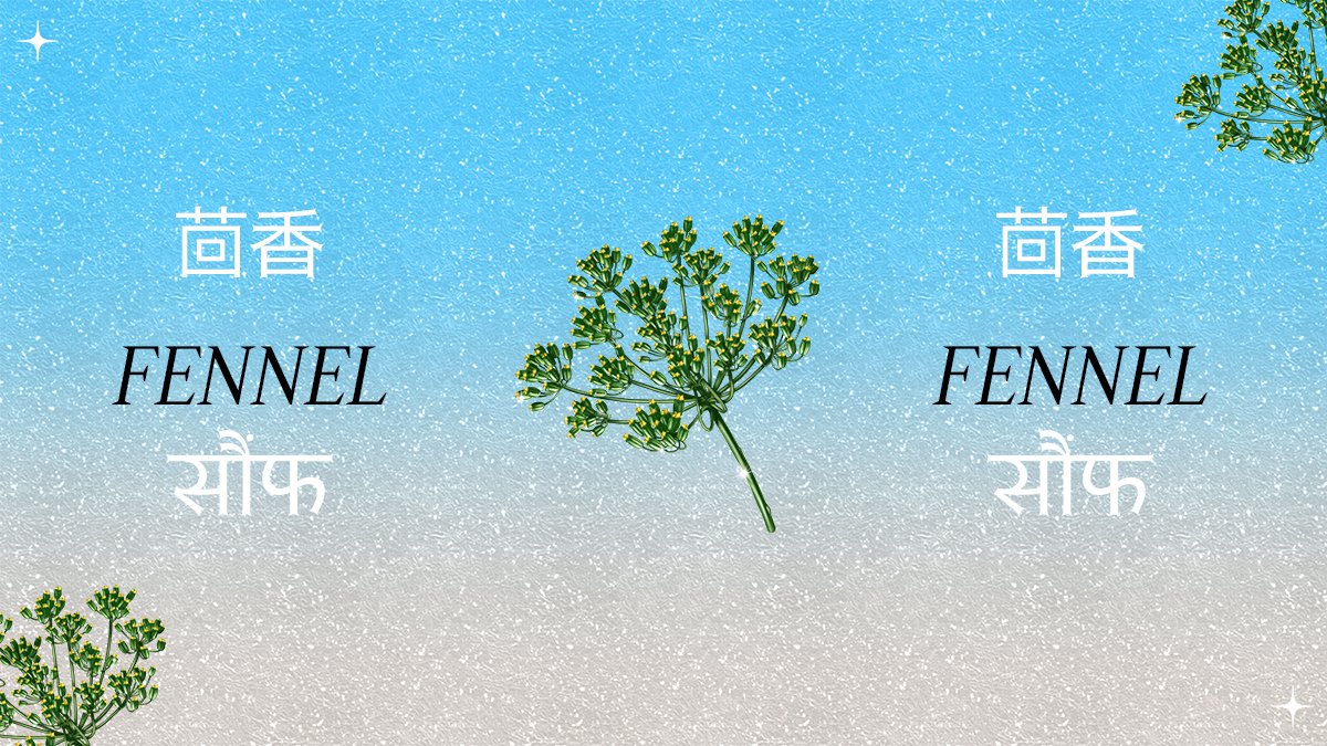 DojaDrinks's tweet photo. 八番 Botanical नंबर आठ , Fennel

With a refreshing aftertaste, the flavor of fennel seed can be described as warm and sweet. It is similar to that of aniseed in that both contain the chemical ‘anethole’. Our Fennel seeds are sweeter and more delicate than aniseed. https://t.co/hBcx6OUS2k