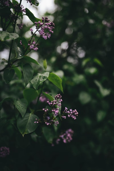 PropiaSalud's tweet photo. Photo By Barna Kovács | Unsplash - via @Crowdfire  
 #cabinetmaking #cabinetrecrutement #beepollen #paperbutterflies #webdessign https://t.co/RhB82KYFZ7