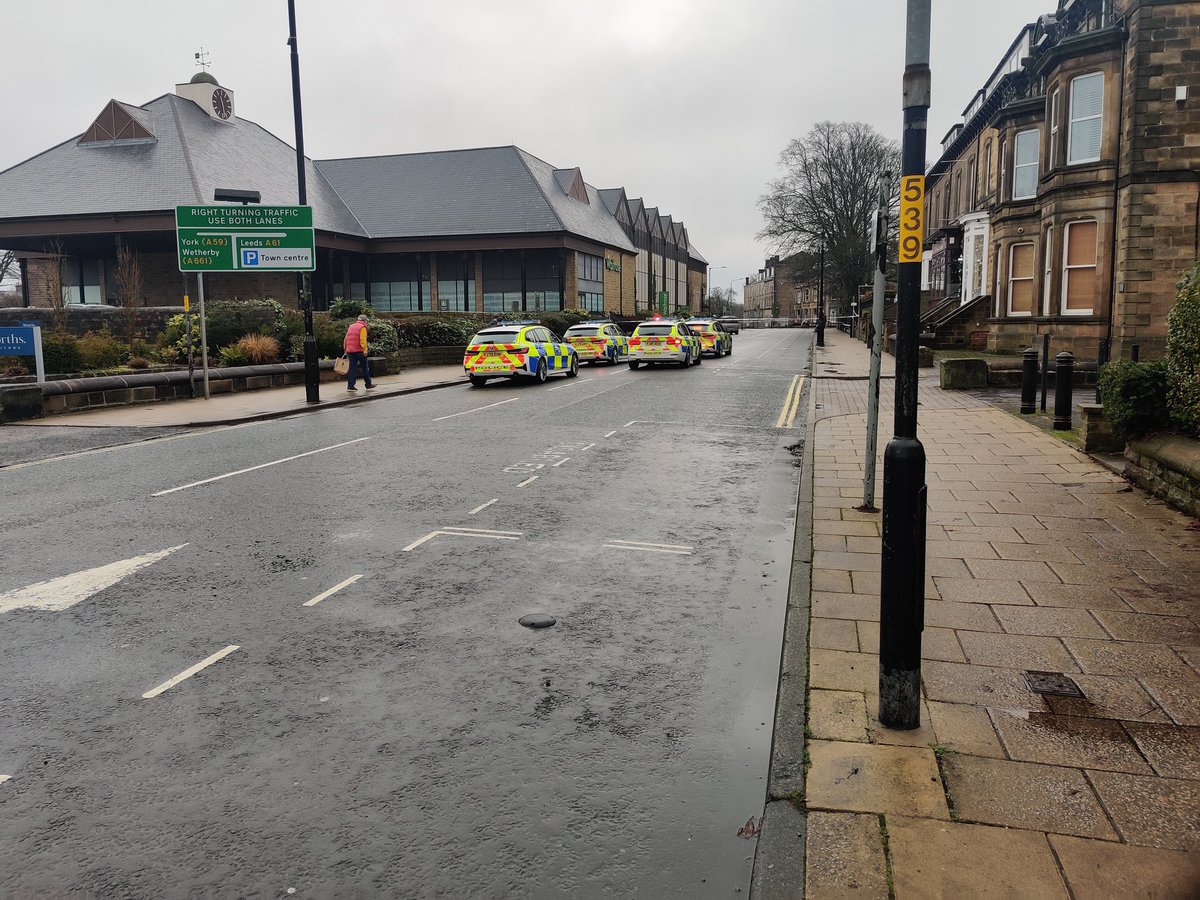 The Stray Ferret tweet media