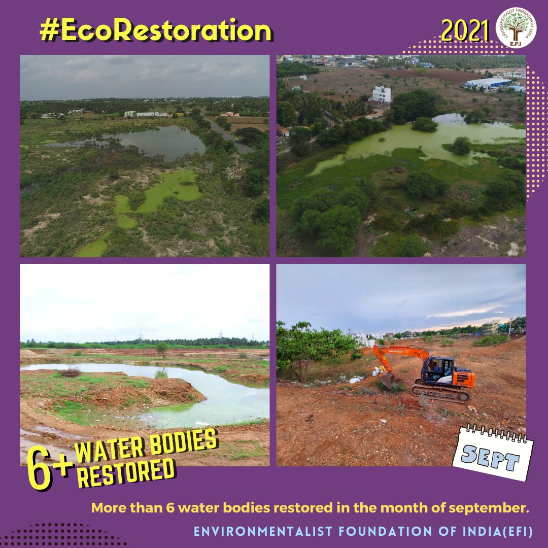 EFIVolunteer's tweet image. #September2021 of E.F.I | A month to remember!

From the Moosi Rani Sagar at Alwar to the lakes of Coimbatore, our September was quite memorable!

#EFI #2021Countdown #Rewind2021