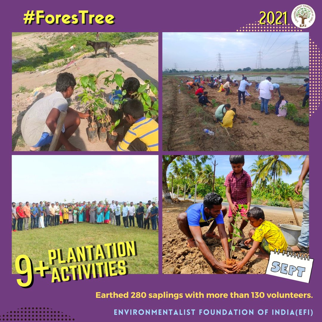 EFIVolunteer's tweet image. #September2021 of E.F.I | A month to remember!

From the Moosi Rani Sagar at Alwar to the lakes of Coimbatore, our September was quite memorable!

#EFI #2021Countdown #Rewind2021