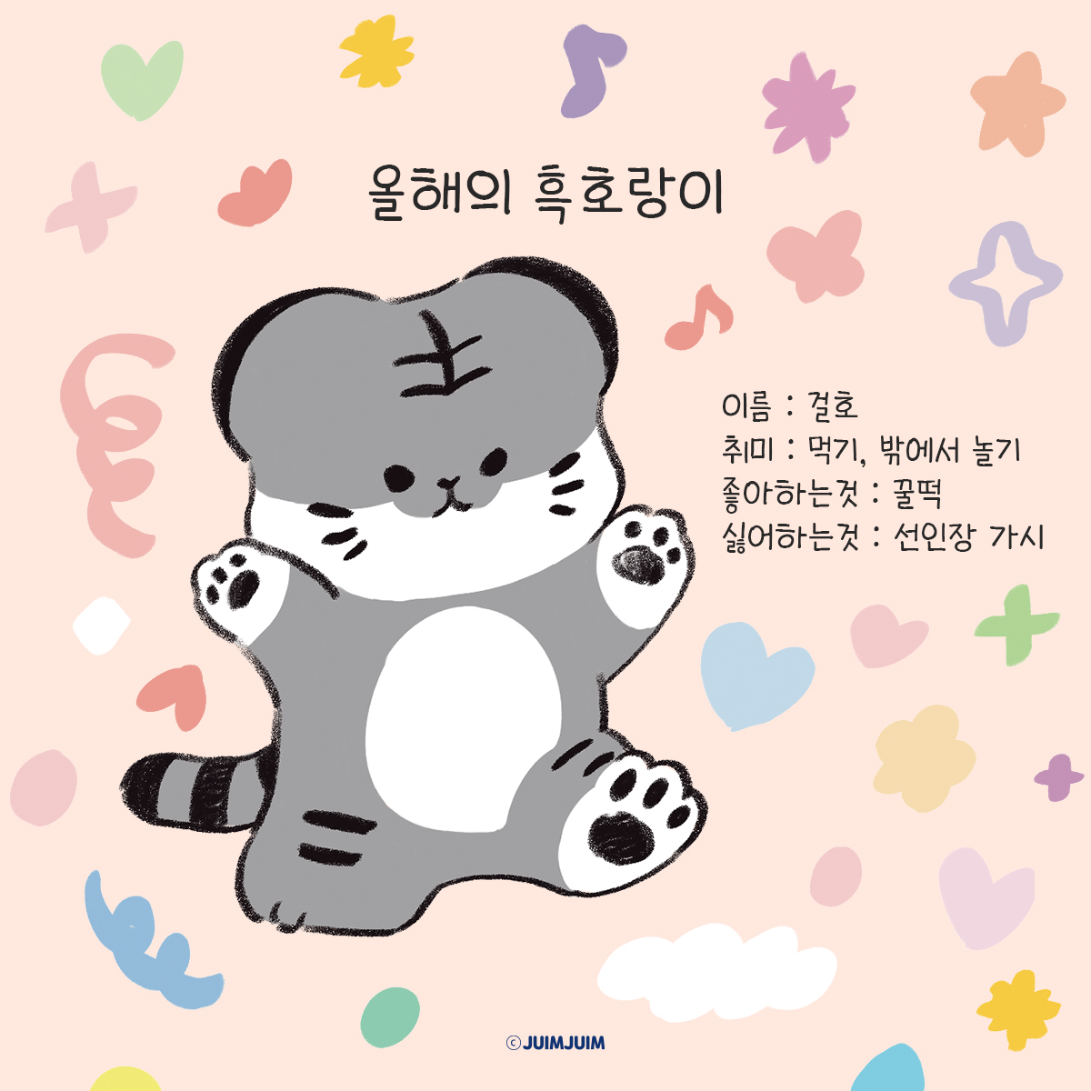 걸호를 소개할게요 🐯 행복을 빌어주고 행운을 가져다 주는 착하고 통실통실한 흑호랑이!