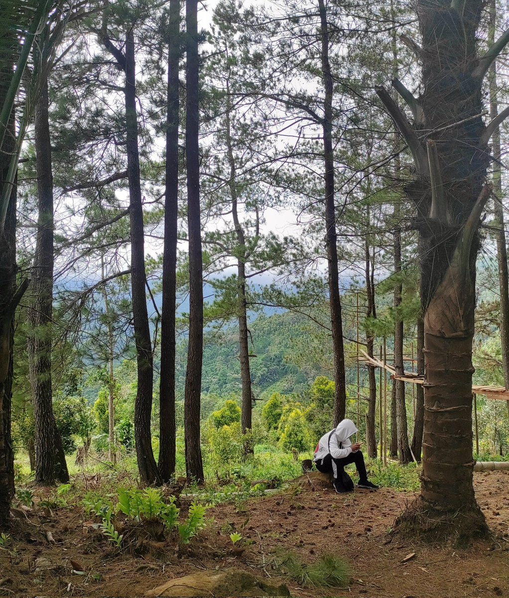 Zul_vamdam's tweet photo. Ingat, doa tanpa usaha itu Kosong,usaha tanpa doa itu sombong.
•
•
•
•
•
Jolle,25 Des 2021 https://t.co/fieN4EXRja
