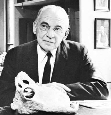 December 28, 1894, birthday of Alfred Sherwood Romer, American paleontologist &amp; biologist. Especially interested in the evolution of limbs and the nervous system 🦖
tinyurl.com/rcnk4uq