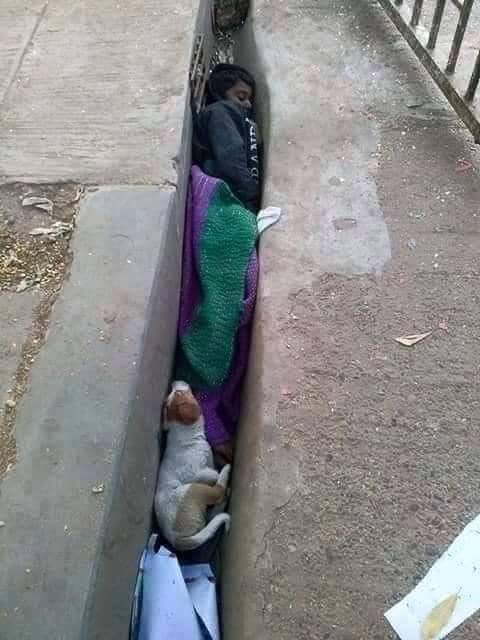 Mashooqalichan's tweet photo. غربت لڑتی رہی ٹھنڈی ہواؤں سےاور
امیر کہتے رہے واہ کیا موسم آیا ہے
#ادب_کا_سفر https://t.co/2KCOi9pqIo