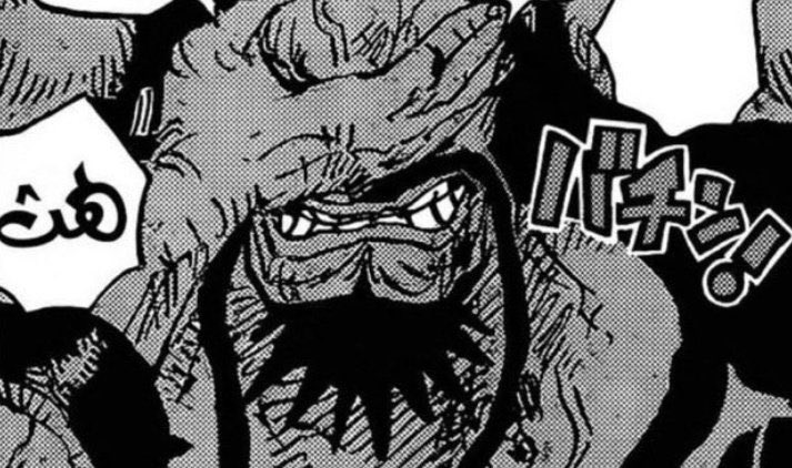 Fr Zzy𓅓 Onepiece1036 The 3 Stages Of Kaido Vs Luffy 1 Contempt 2 Regret 3 Admire T Co Ecbbynturu Twitter