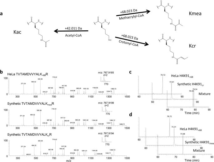 Pastel BioScience tweet media
