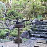 ツイートに含まれる画像