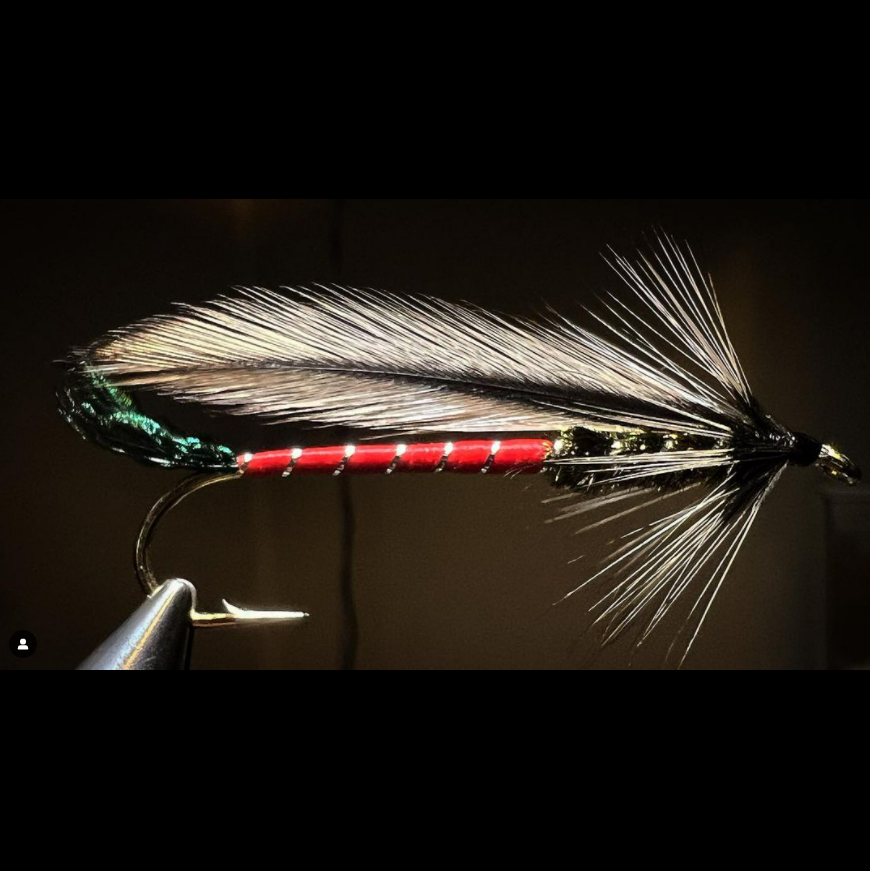 FarmsWhiting's tweet photo. Sweet Spruce Fly
tied by @justincbarnard
here is #somethingfestive. it is a @whitingfarms CDL Spruce Fly. #svendmas is upon us. Merry Christmas everyone.
#moonlitflyfishing, #moonlitlegion, #nirvanaonthefly, ,#jimsflyco, #campfirelodge, #flyfish, #whitingfarms,#flytyingjunkie https://t.co/AIjmpCh6xF