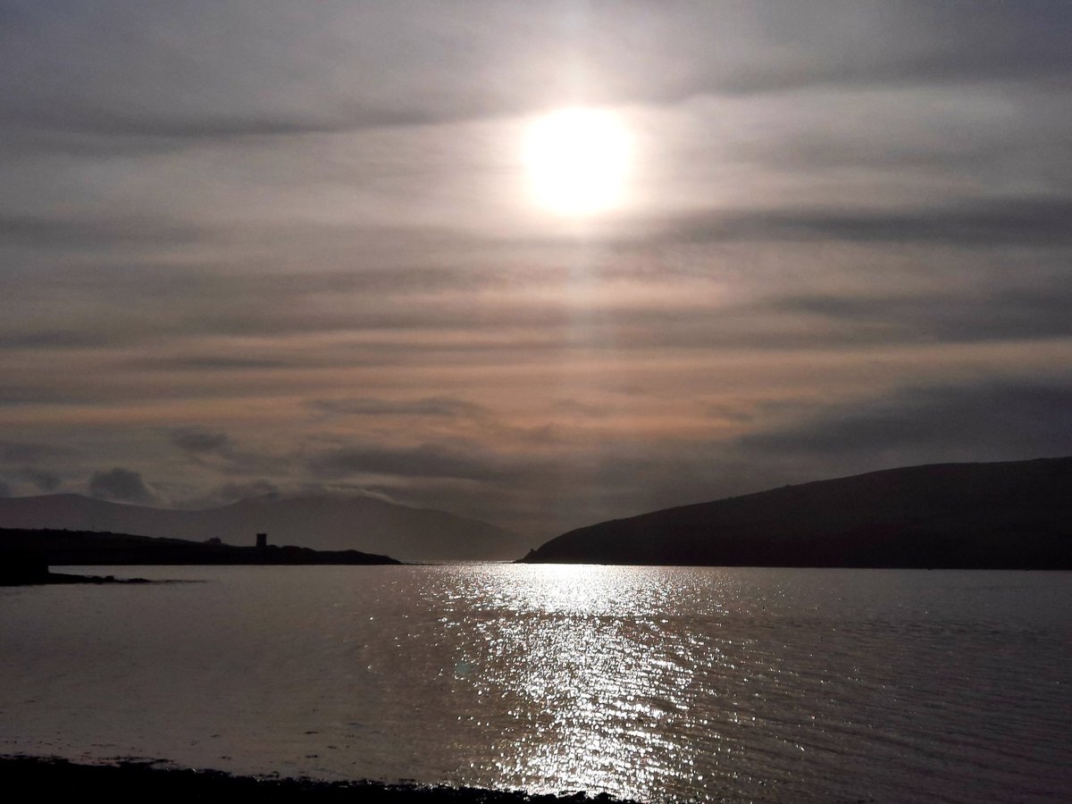 numoorepain's tweet photo. Good morning from Dingle Harbour where the birds are singing before the next wallop of winds arrive 
Embrace the calm
We're so blessed to have the noise, the calm, the music and space and mostly the ability to find silence 

#Dingleharbour #Homesweethome https://t.co/rvaFImlMVo