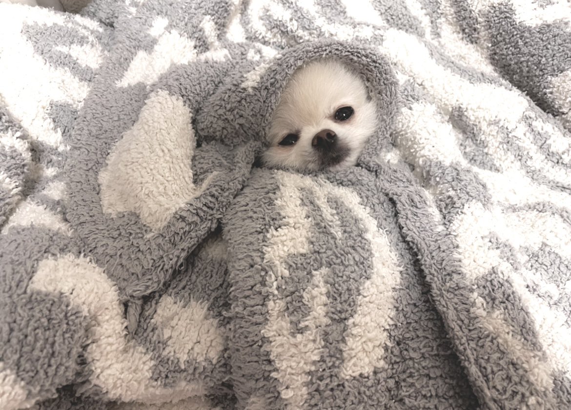 Yoppy 久しぶりに揚げ物を調子にのって大 大 大量にいただいたからか 翌日胃がダウンしてしまいその日の予定は全てキャンセル 吐き気止めの点滴を打ってもらう始末 1日中寝てたらだいぶマシになったけど 調子を崩してから改めて健康って Yoppy 久しぶりに揚げ物を調子にのって大 大 大量にいただいたからか 翌日胃がダウンしてしまいその日の予定は全てキャンセル 吐き気止めの点滴を打ってもらう始末 1日中寝てたらだいぶマシになったけど 調子を崩してから改めて健康って