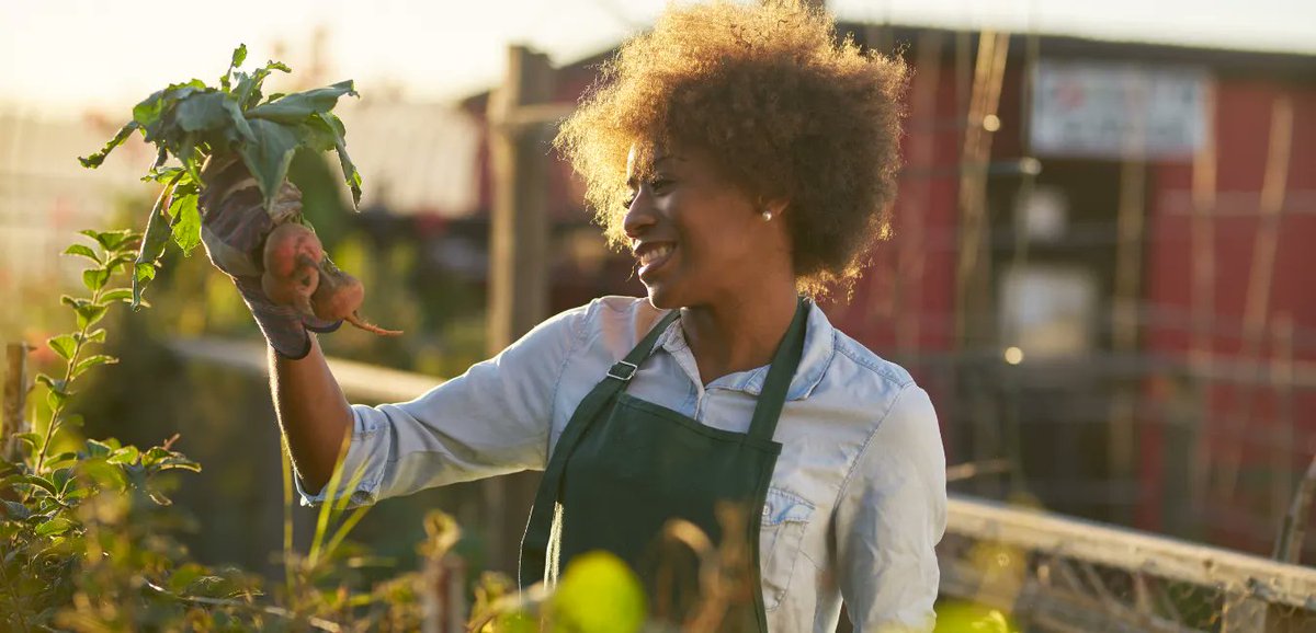 GIJN Africa (@gijnafrica) on Twitter photo Fellowship!
<a href="/ClimateTracking/">Climate Tracker</a>, in partnership with @oneearth, is offering a Local Sustainability Solutions Journalism Fellowship.
The programme aims to promote storytelling focused on local solutions to environmental issues.
Apply by Jan. 7, 2022. buff.ly/3dZ1I1e Fellowship!
<a href="/ClimateTracking/">Climate Tracker</a>, in partnership with @oneearth, is offering a Local Sustainability Solutions Journalism Fellowship.
The programme aims to promote storytelling focused on local solutions to environmental issues.
Apply by Jan. 7, 2022. buff.ly/3dZ1I1e