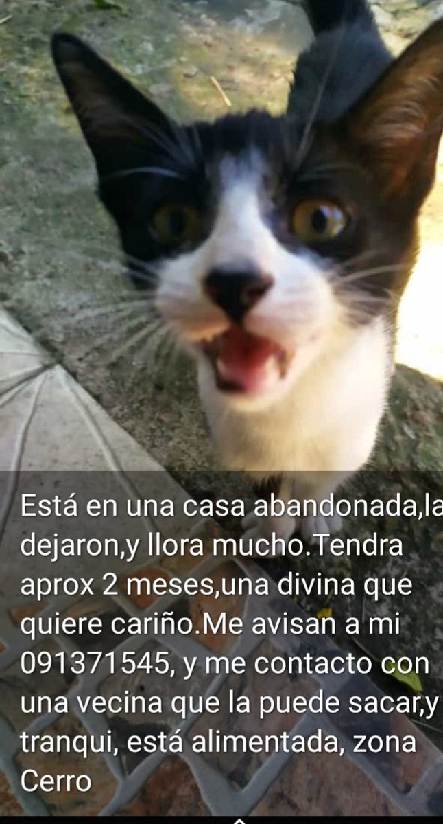 ABANDONADA 😥