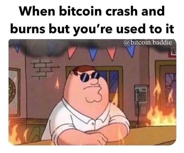 Mostly ppls are searching Nfts more than anything in modern era on Google.Dump &amp; bearish market came in december and btc drops toward lower like weather drops in winter lols.Good Pump Is Expected &amp; Hope It'll touch 100k $ soon.
#cryptotwitter pic.x.com/Cb7fi5kZHB