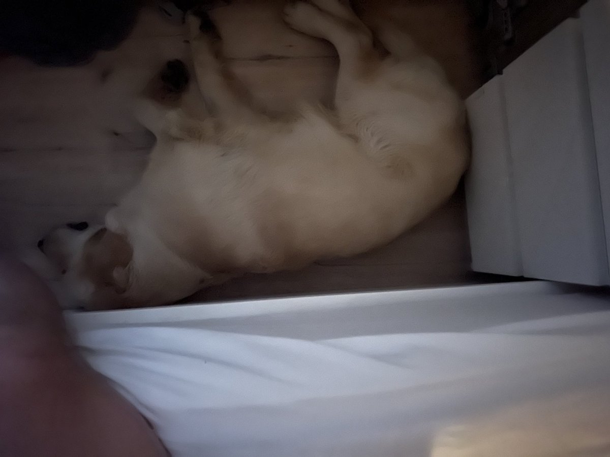 Christian tweet media