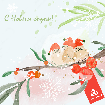 С наступающим Новым годом!