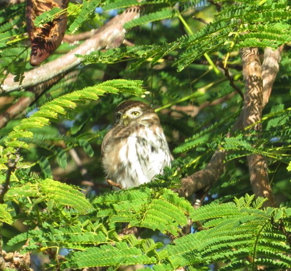 Ellen Zimmerli tweet media